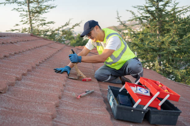 Best Metal Roofing Contractor  in Woodville, CA